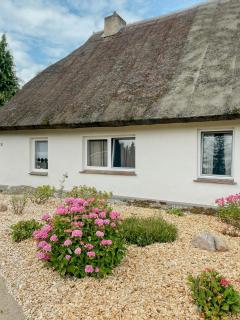 Cozy Holiday Haven Near Fischland-Darß-Zingst - 8