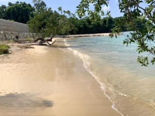 Wings Over Whitehouse 4-Bedroom - 9