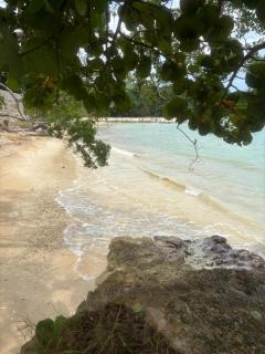 Wings Over Whitehouse 4-Bedroom - 3