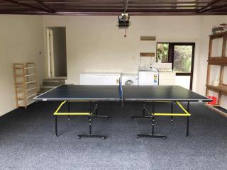 Coastal Comfort - Views for the Whole Crew - 1