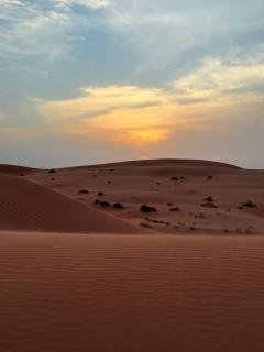 Bedouin Stars - 2