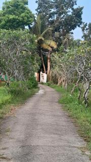 Field island villa - 0