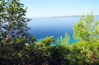 Apartman Silva - Baška Voda - 8
