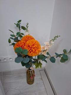 Quiet apartment 2 - 5