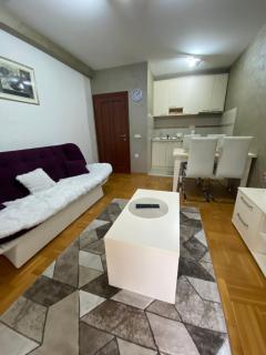 Zlatibor Apartman 55 - 8
