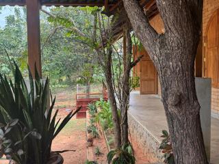 Elephant Arcade Yala - 4