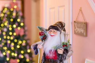 Lilys Pink House - 1