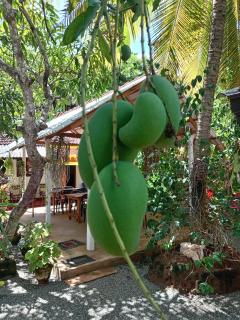 Lake House Home Stay - 9