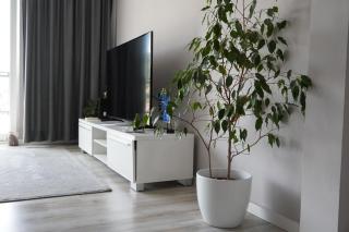 Apartman Panorama Sarajevo - 8