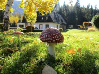 Penzión pod Dobákom - 0