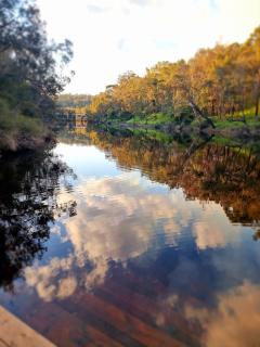 Sunnyhurst Chalets - 2 Bedroom Chalet - Bridgetown - 4
