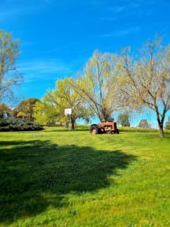 Sunnyhurst Chalets - 2 Bedroom Chalet - Bridgetown - 5