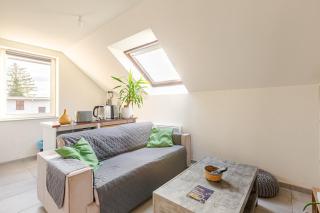 Charmant appart près Europa-Park Rulantica 30 min - 4