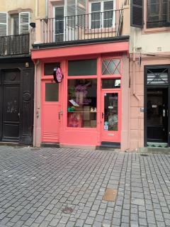 ** appartement cathédrale Strasbourg centre** - 3