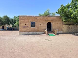 Rangilo Desert camp - 7