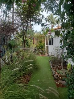 Très BEAU BUNGALOW,JARDIN TROPICAL, RENOVATION ETE 2020 - 3