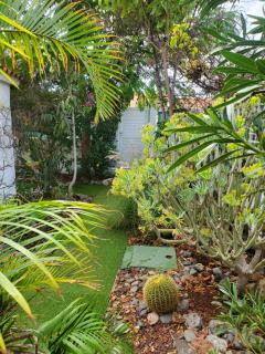 Très BEAU BUNGALOW,JARDIN TROPICAL, RENOVATION ETE 2020 - 1