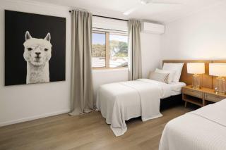 Kirra Beach Escape - Pool Tennis Pets Near Airport - 3