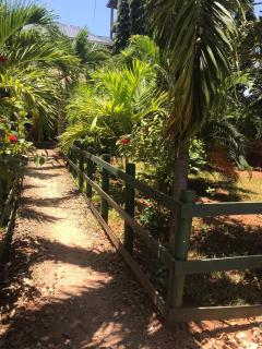 Diani's Little Gem - 3