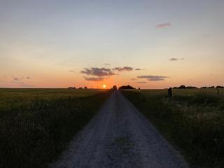 Peaceful Orø Getaway, Cozy Home with Garden & Guesthouse - 5