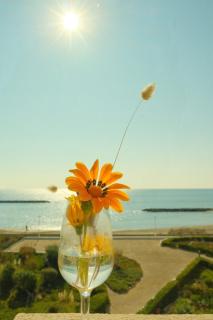 Studio plein sud le ciel le soleil et la mer - 9