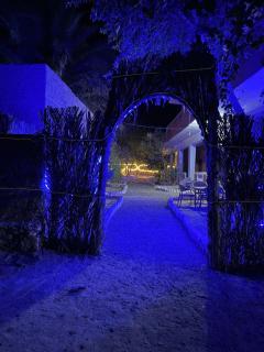 كامب سيوة اواسيس Siwa Oasis Camp - 8