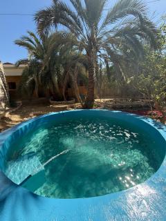 كامب سيوة اواسيس Siwa Oasis Camp - 6