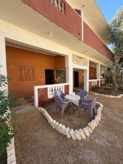 كامب سيوة اواسيس Siwa Oasis Camp - 4