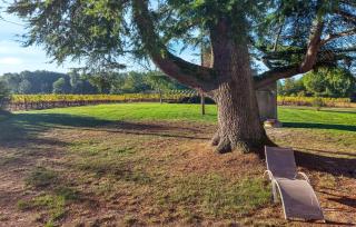 Cozy Home In Montcaret With Wifi - 2