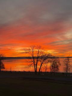 Cabañas Armonía del Ranco - 1