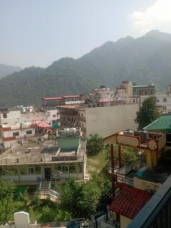 The Mountain Mist - 5