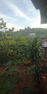 Avocados homestay - 2