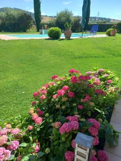 Appartamento tonini house - 9