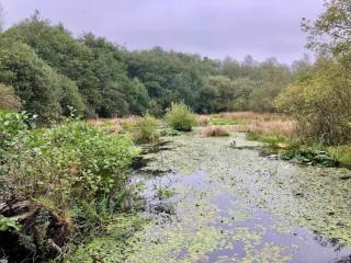 Luxury Lakeside Retreat-By Traum - 7