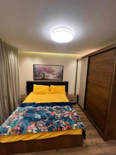 المنطقة الاولي مخلص الالفي - Cairo - 2