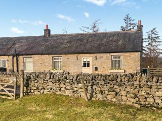 Night Sky Cottage - 8