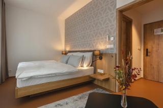 Hotel Bronzo Brno - 1