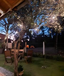 Cabana Vale dos Pinheiros - 7