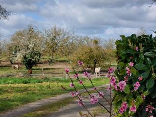 Chez Mémé, gite proche Futuroscope - 5