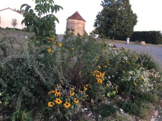 Chez Mémé, gite proche Futuroscope - 7
