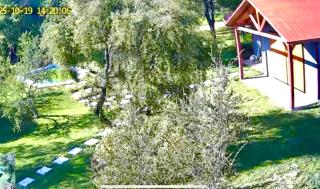 Casa con piscina La Miel - 1