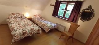 La Cuesta in the forest - 7