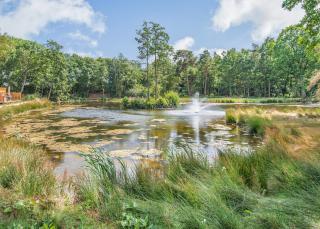 Woodland Lakes Boutique Lodges - 5