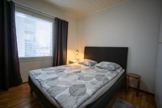 Scandinavian Sauna Apartment - 4