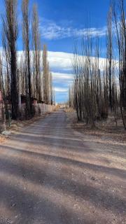 Casa Puentes Amarillos - 9