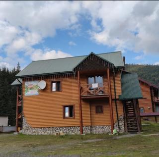 Апартаменти Лісова тиша - 0