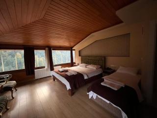 Ayder Hotel - 1