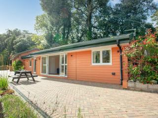 1 The Folly's - Uk45189 - 7