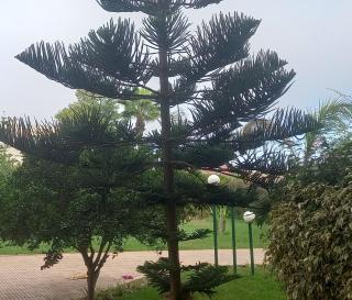 iris appart vue dégagée, bon emplacement - 1