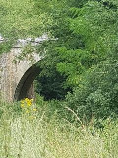 GITE BAS-EN-BASSET, HAUTE-LOIRE, MAISON et JARDIN ATYPIQUE PLEINE NATURE - 9